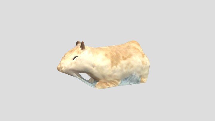 Capybara plush 3D Model