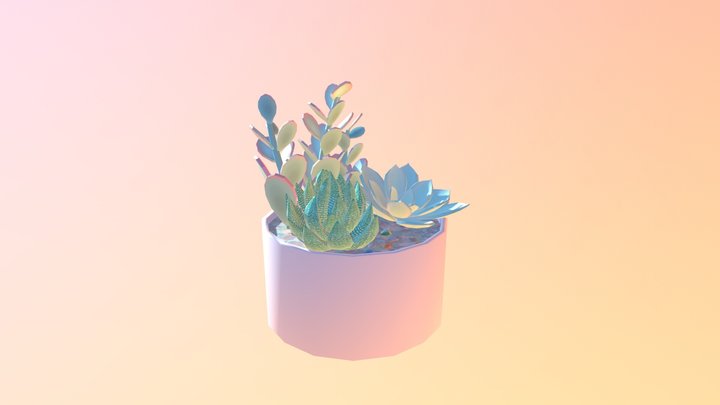 Succulents 3D Model
