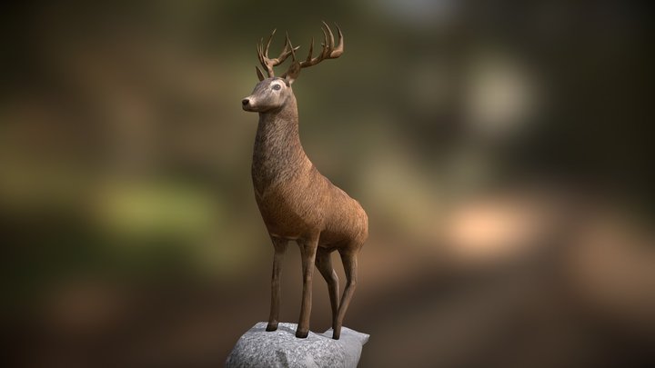 Deer 3D Model