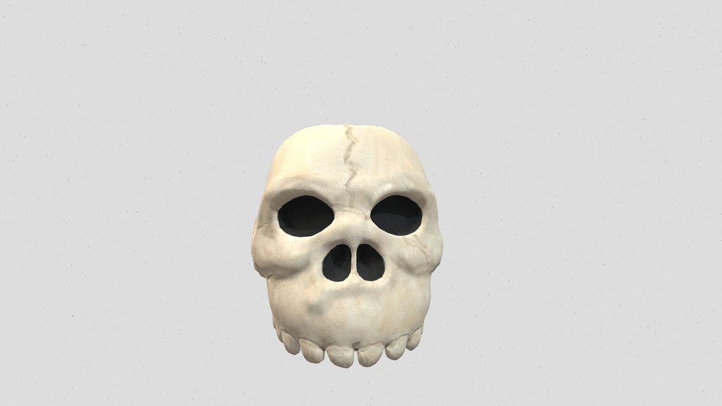 Ape Skull