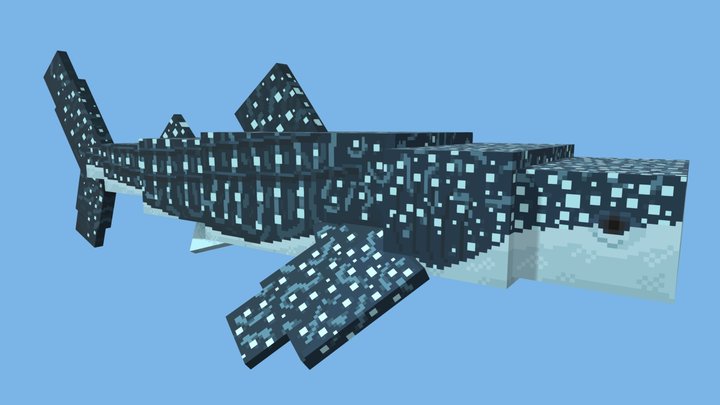 Whale Shark 3D Model
