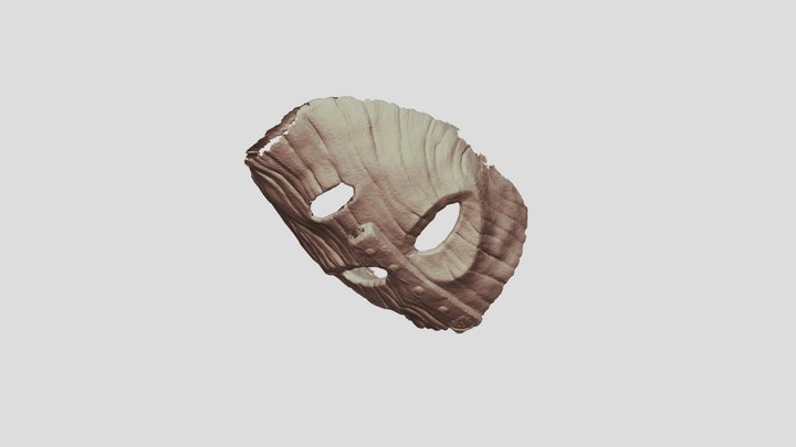 Einstar Mask Scan 3D Model