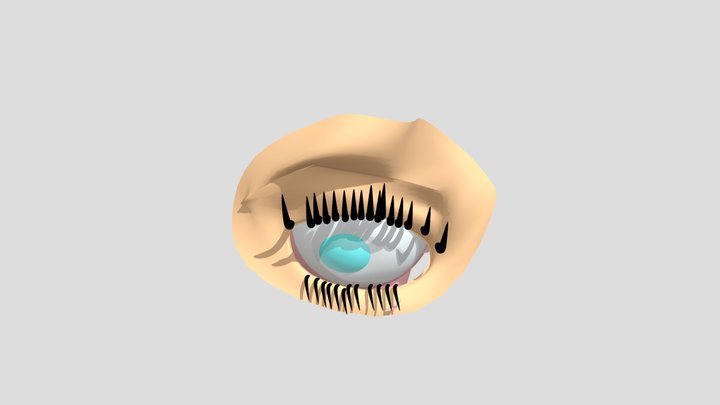ojo 3D Model