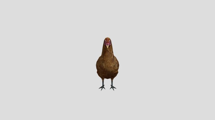 Chicken 3D Model