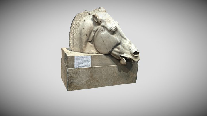 Head of a horse from Parthenon 3D Model