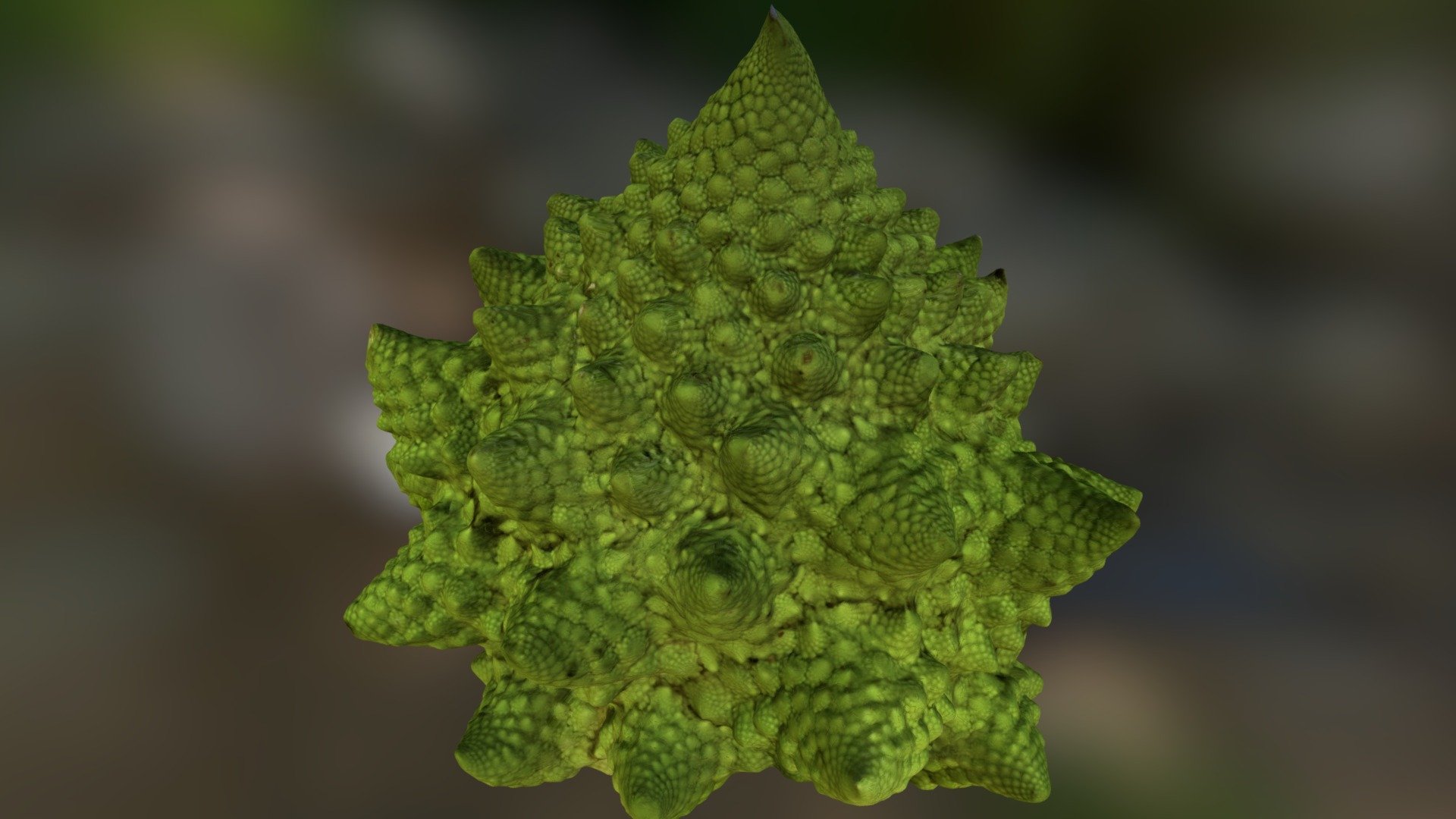 Romanesco fractal
