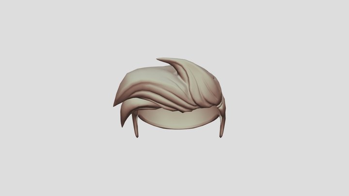 hair 3D Model