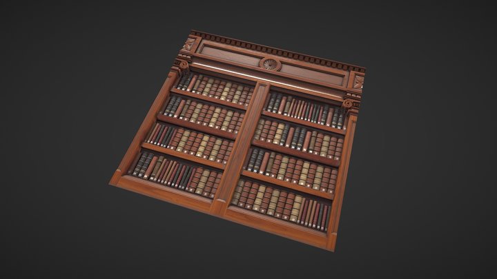 Library Plane 3D Model