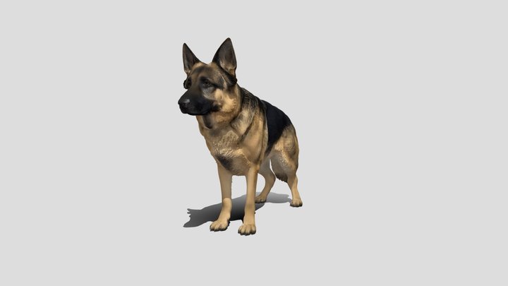 German Shepherd in Profile – Free 3D Model STL