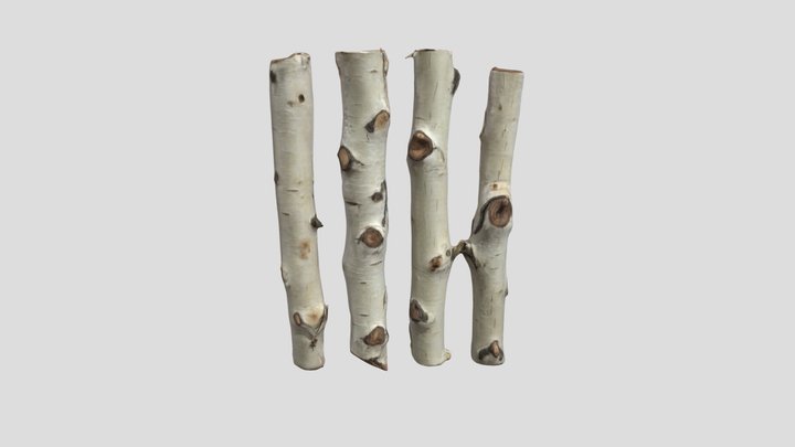 Birch Logs Quartet 3D Model