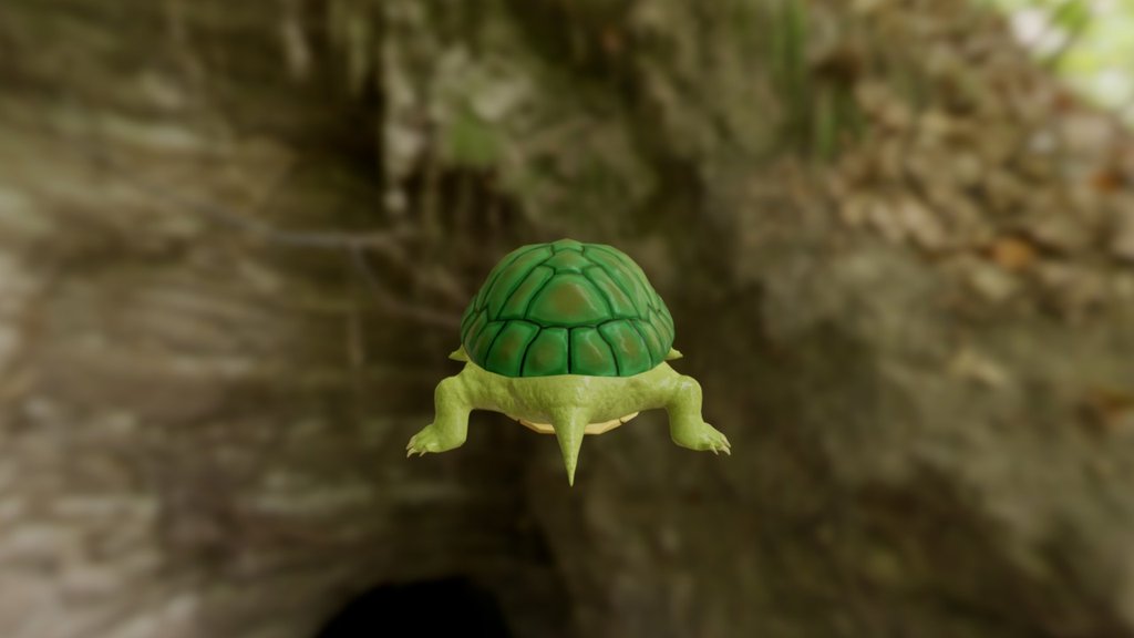 Turtle Model