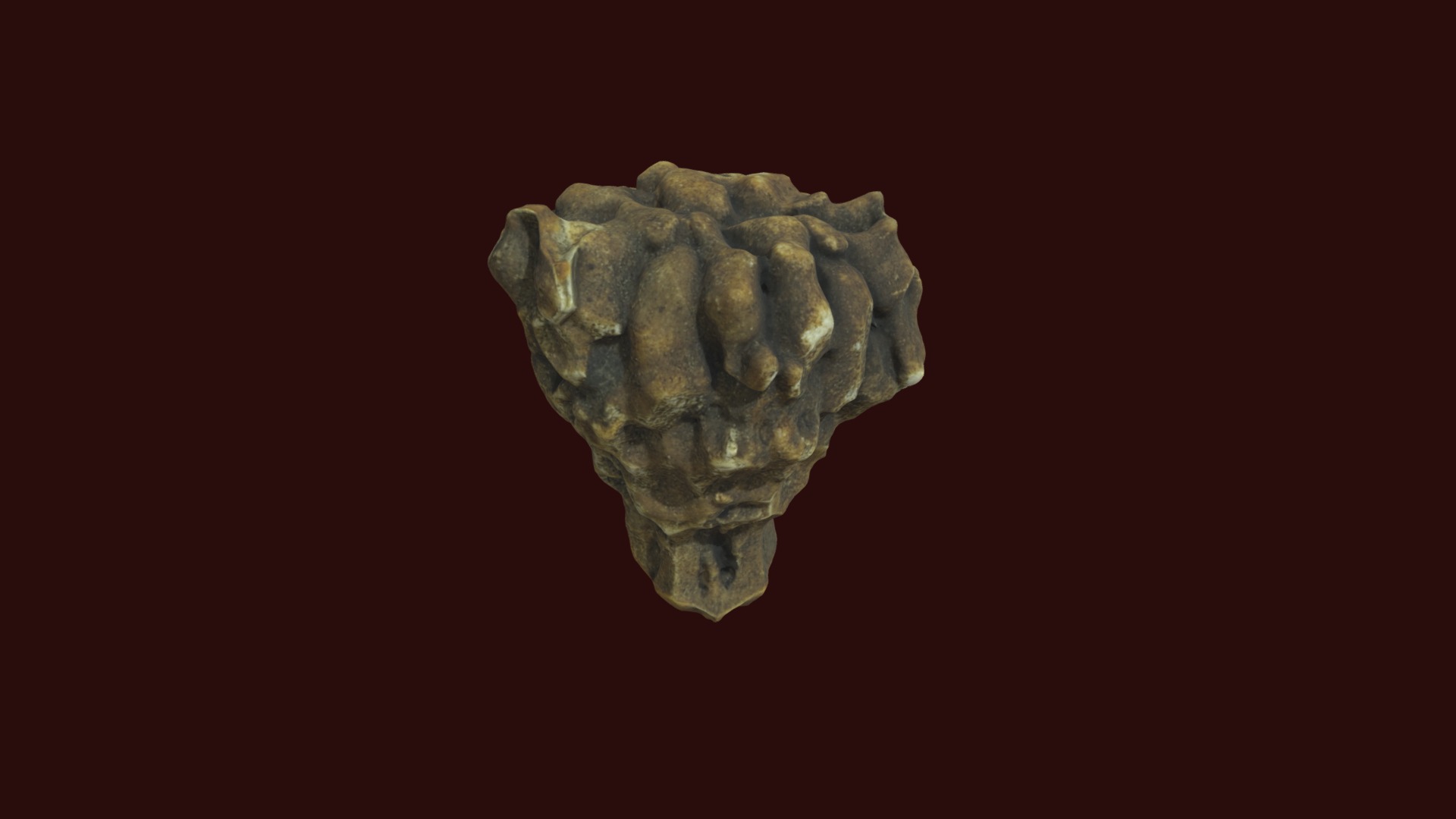 3D model Dorycrinus sp. - This is a 3D model of the Dorycrinus sp.. The 3D model is about a white stone skull.