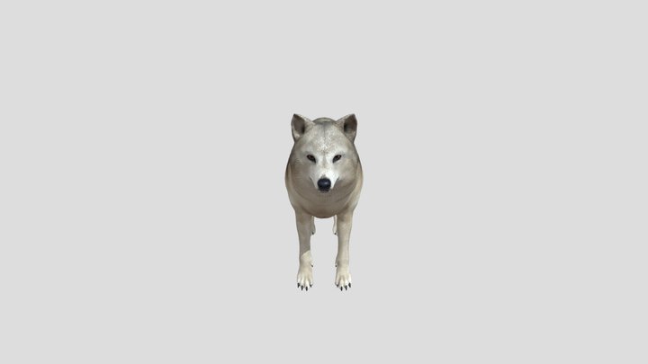 nolan 3D Model