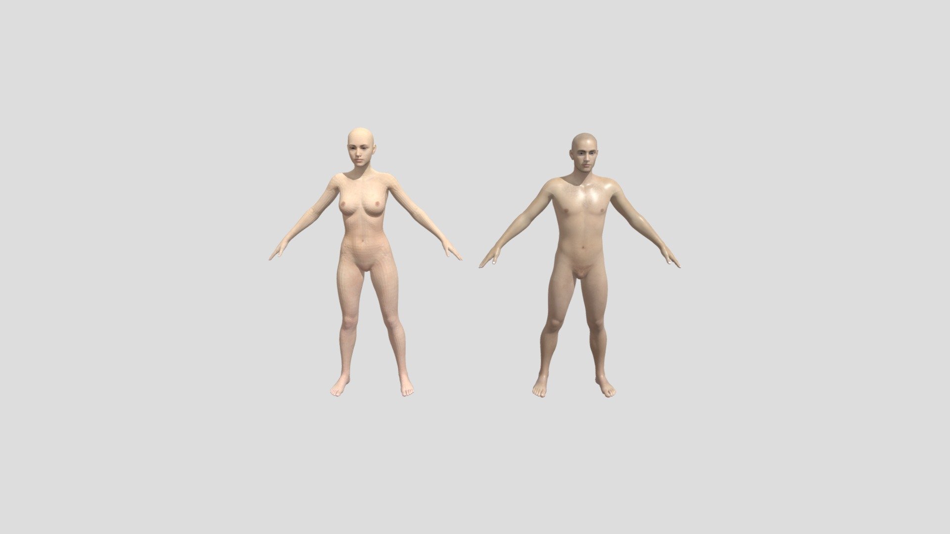 Female And Male Genesis 8 — Sketchfab embed 3D viewer
