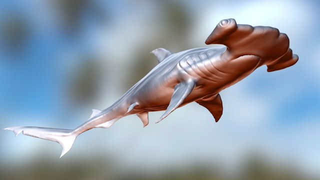 SculptJanuary#1 Shark 3D Model
