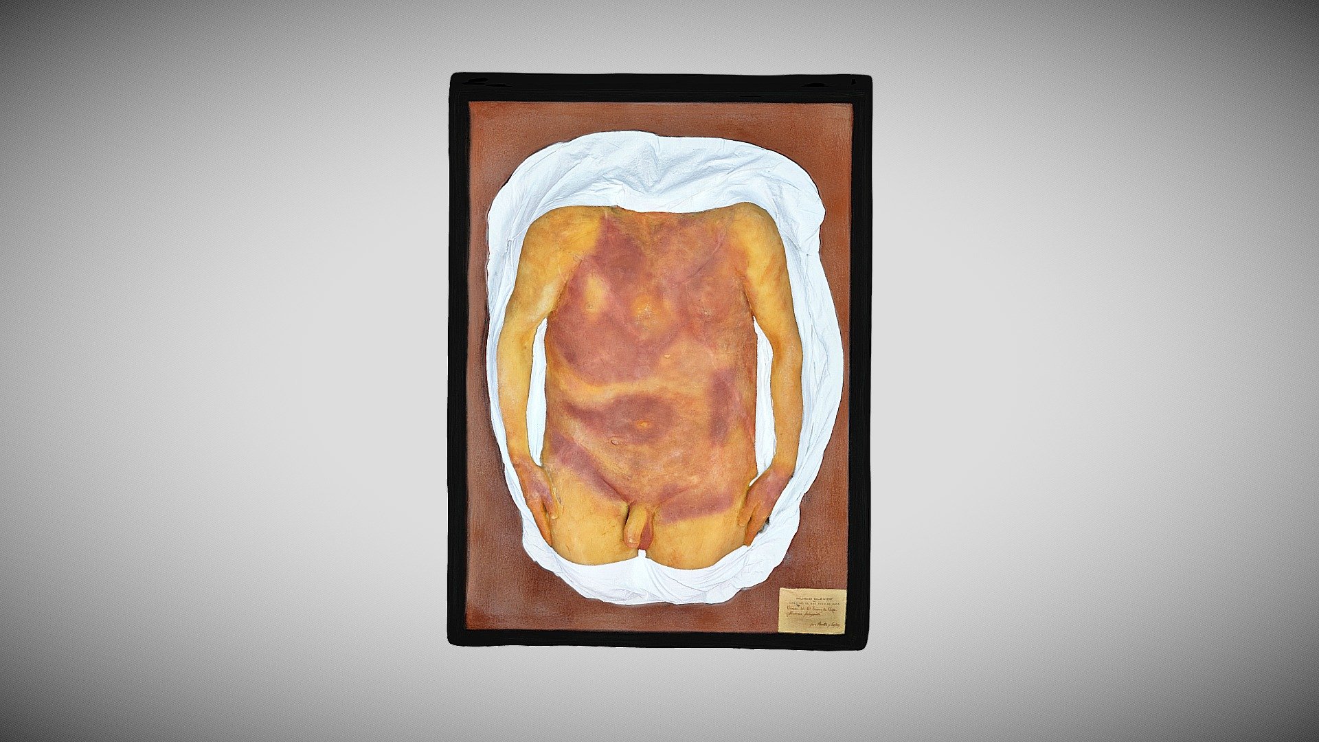 357 - 089 — Sketchfab embed 3D viewer