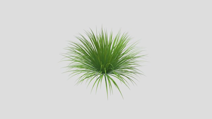 Lemon Grass – Free 3D Model STL