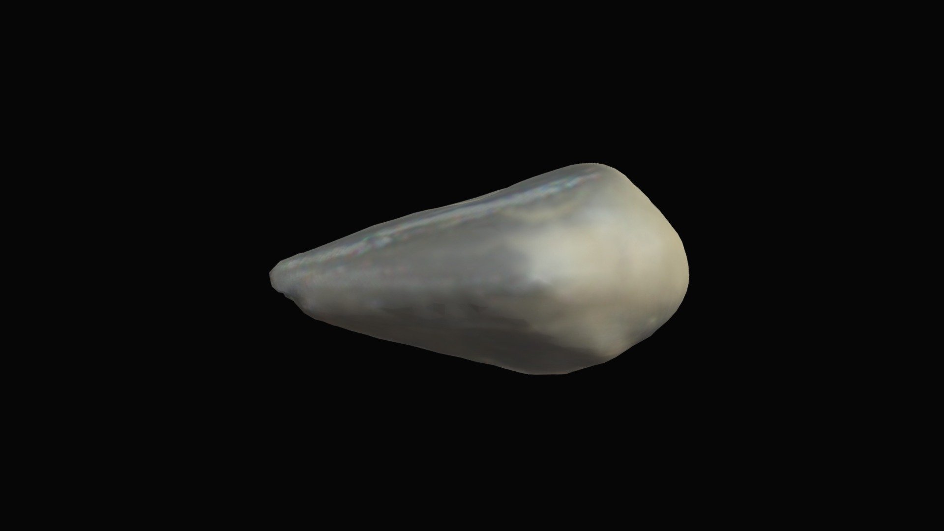 Mosasaur Tooth 000 507-b - 3d Model By Msp-paleo [4565f34] - Sketchfab