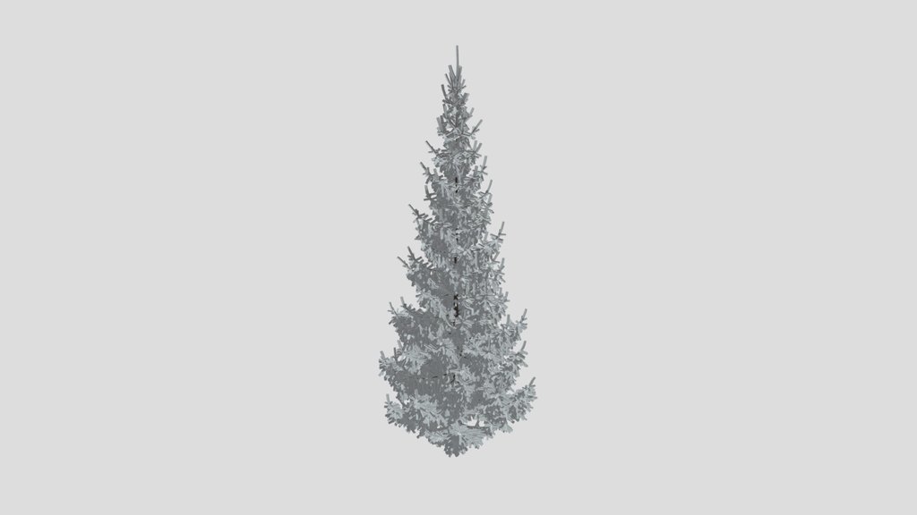 Norway Spruce Picea Abies 8 5m