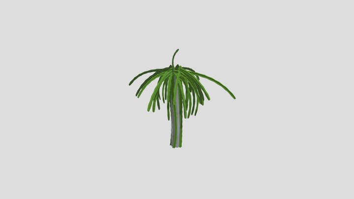 mature_tree 3D Model