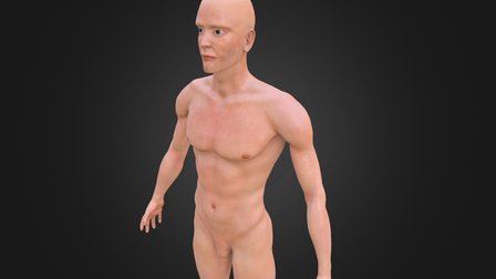 CrystalT_GP1_M3_V1 3D Model