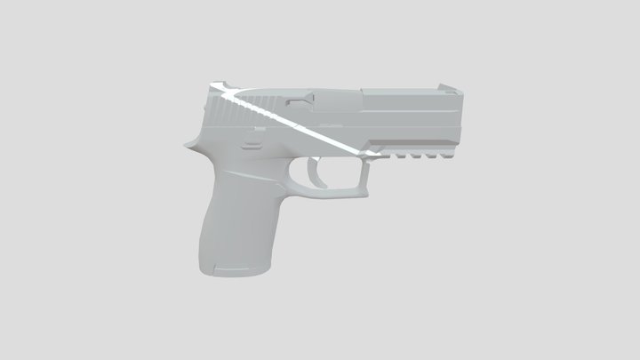 P350 3D Model