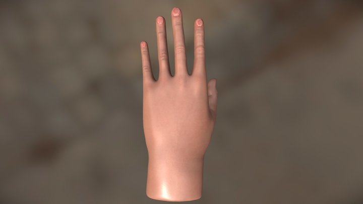 Hand Model 3D Model