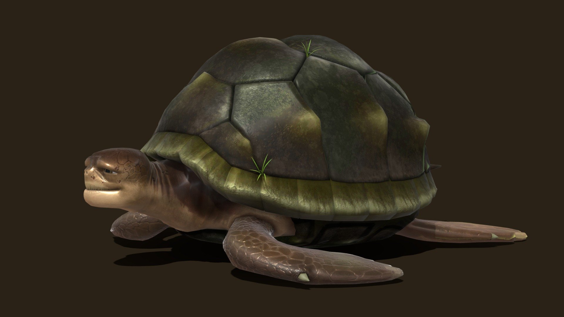 turtle - Buy Royalty Free 3D model by ostrich (@gohean33) [4574505 ...