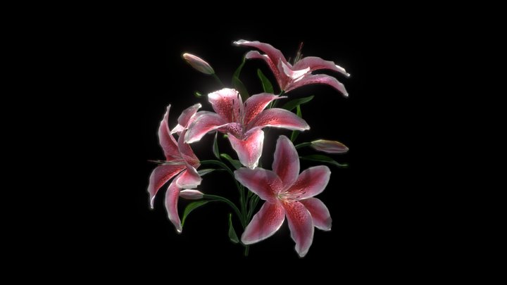 Lilies 3D Model