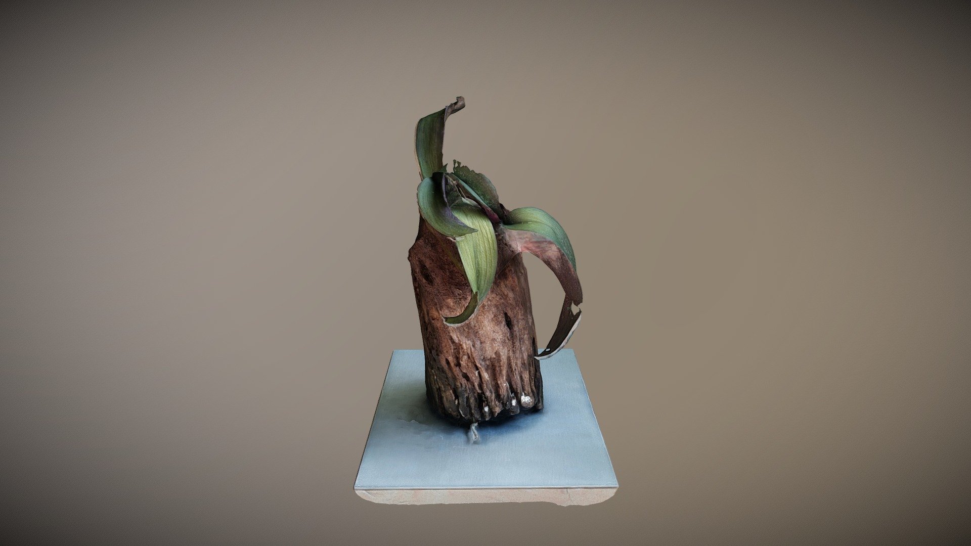 Orchid Plantlet (3D-Printable)