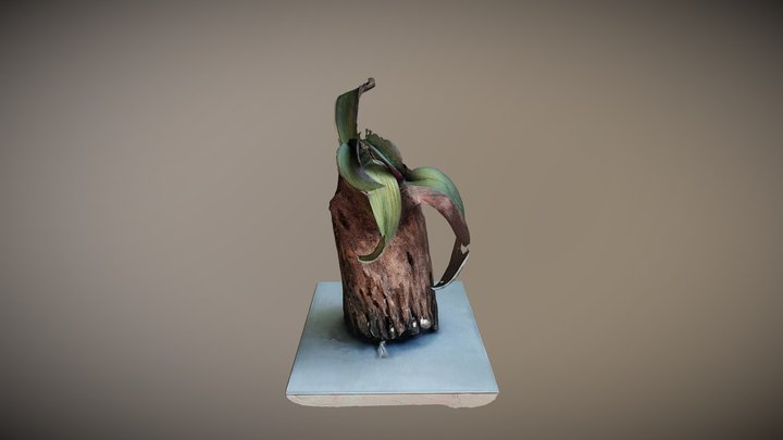 Orchid Plantlet (3D-Printable) 3D Model