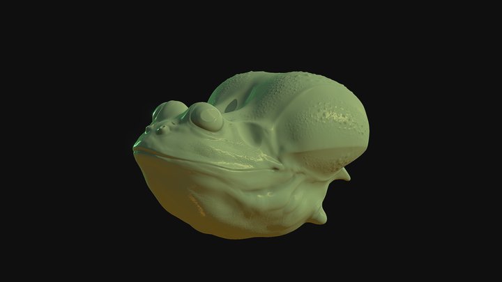 Hover Frog 3D Model
