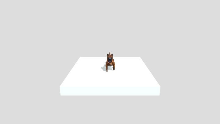 Low Poly Pitbull Realistic Texture Test 3D Model