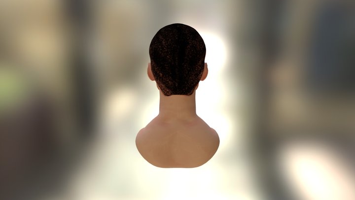 LOD0 Head Bust 3D Model