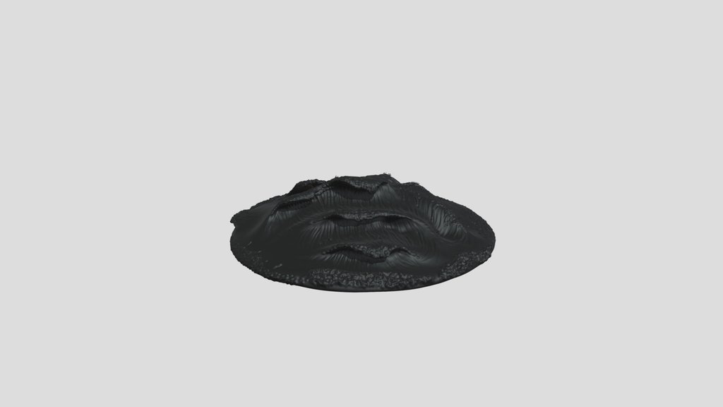 Bubbles_ Disk