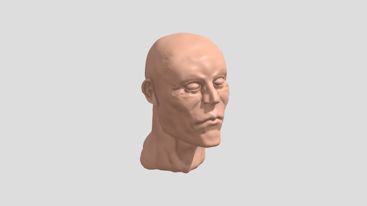 Face Intro 3D Model