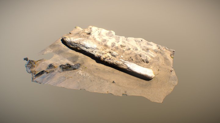 Beach Trunk 3D Model