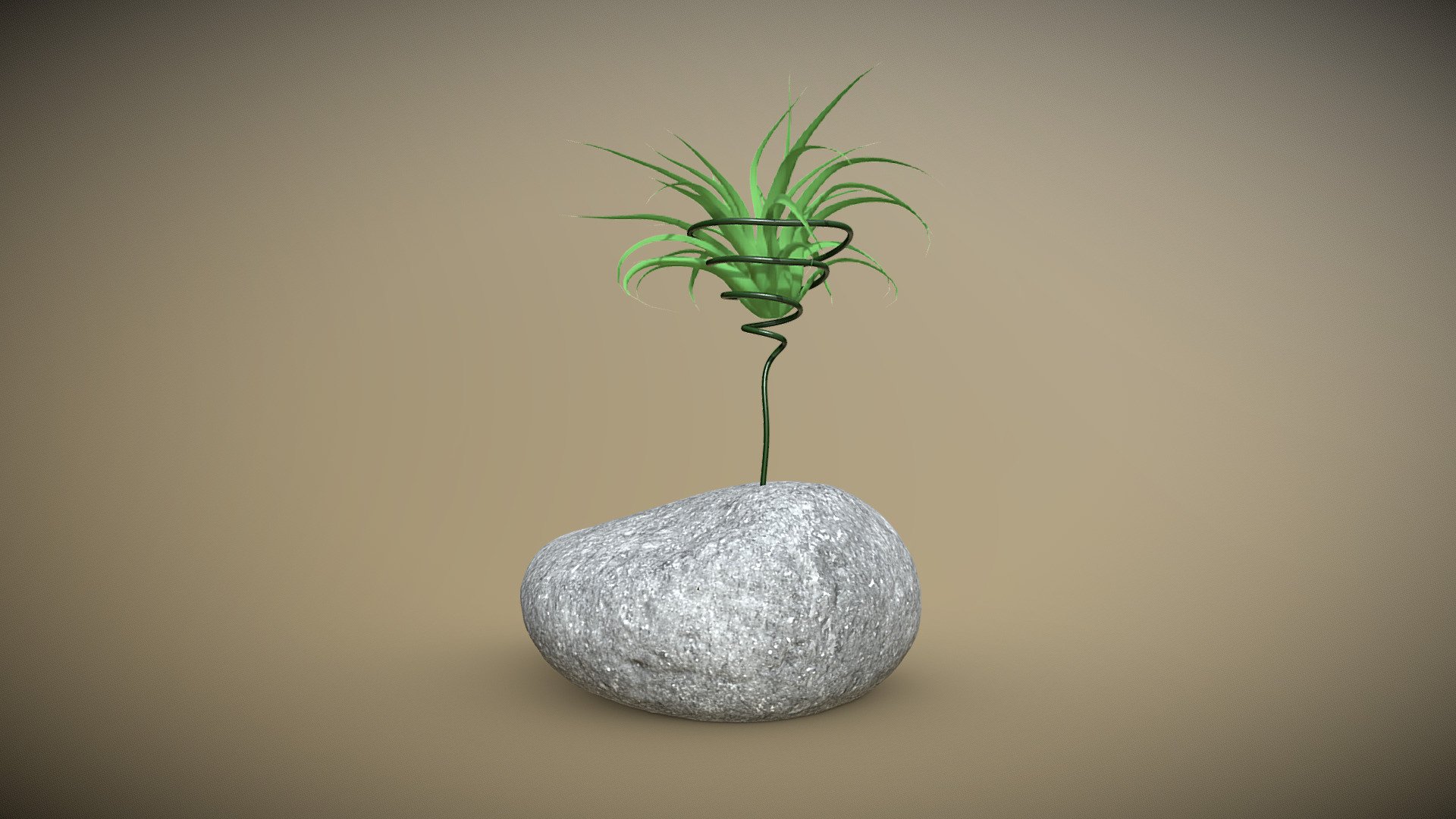 Air Plant v.ROCK1