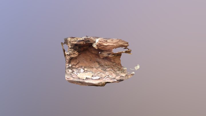 Figure 4 Sardinia Tetrapod Burrow 3D Model