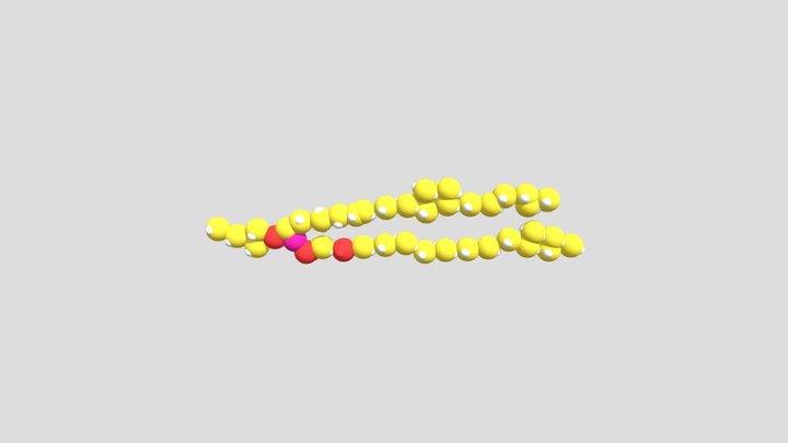 Sphingomyelin 3D Model