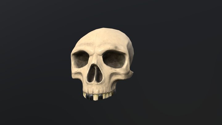 Stylized Pirate Skull 3D Model