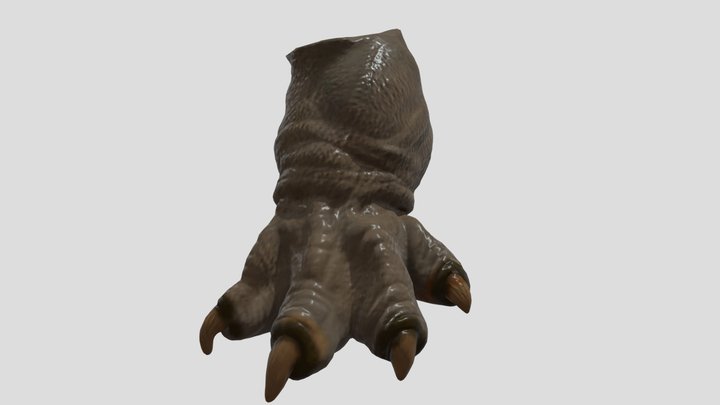 Foot Monster 3D Model