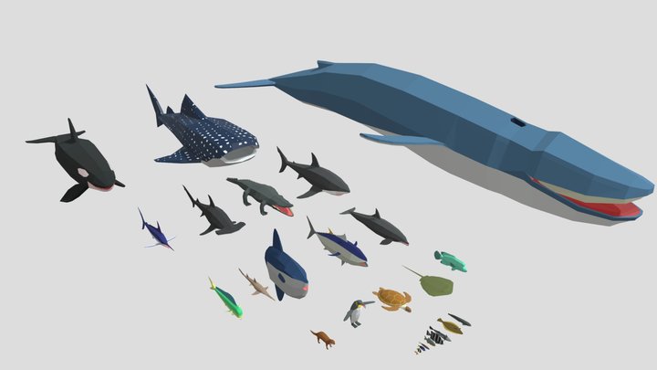 Aquatic Animals 3D Model