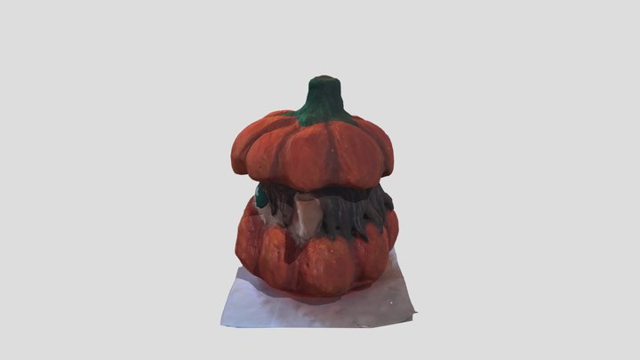 zucca f 3D Model