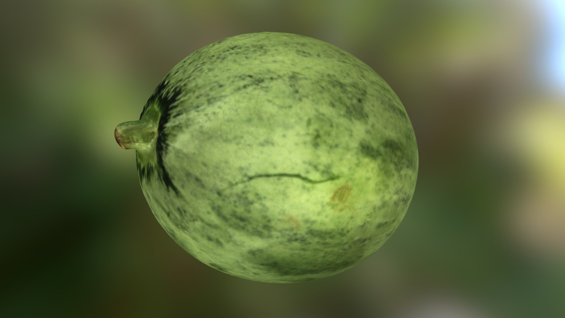 The Tekka Melon