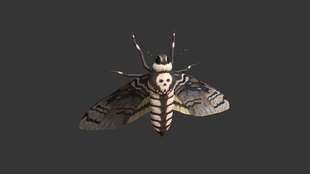 MothDedhead_Lowpoly_model
