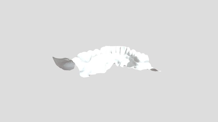 1-0-0-5AC_walmir Walmir_LOWER_ARCH 3D Model