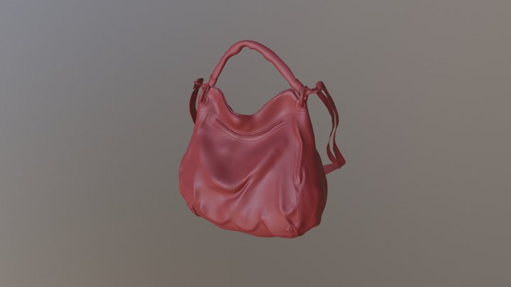 Purse (Organic sculpt first attempt) 3D Model