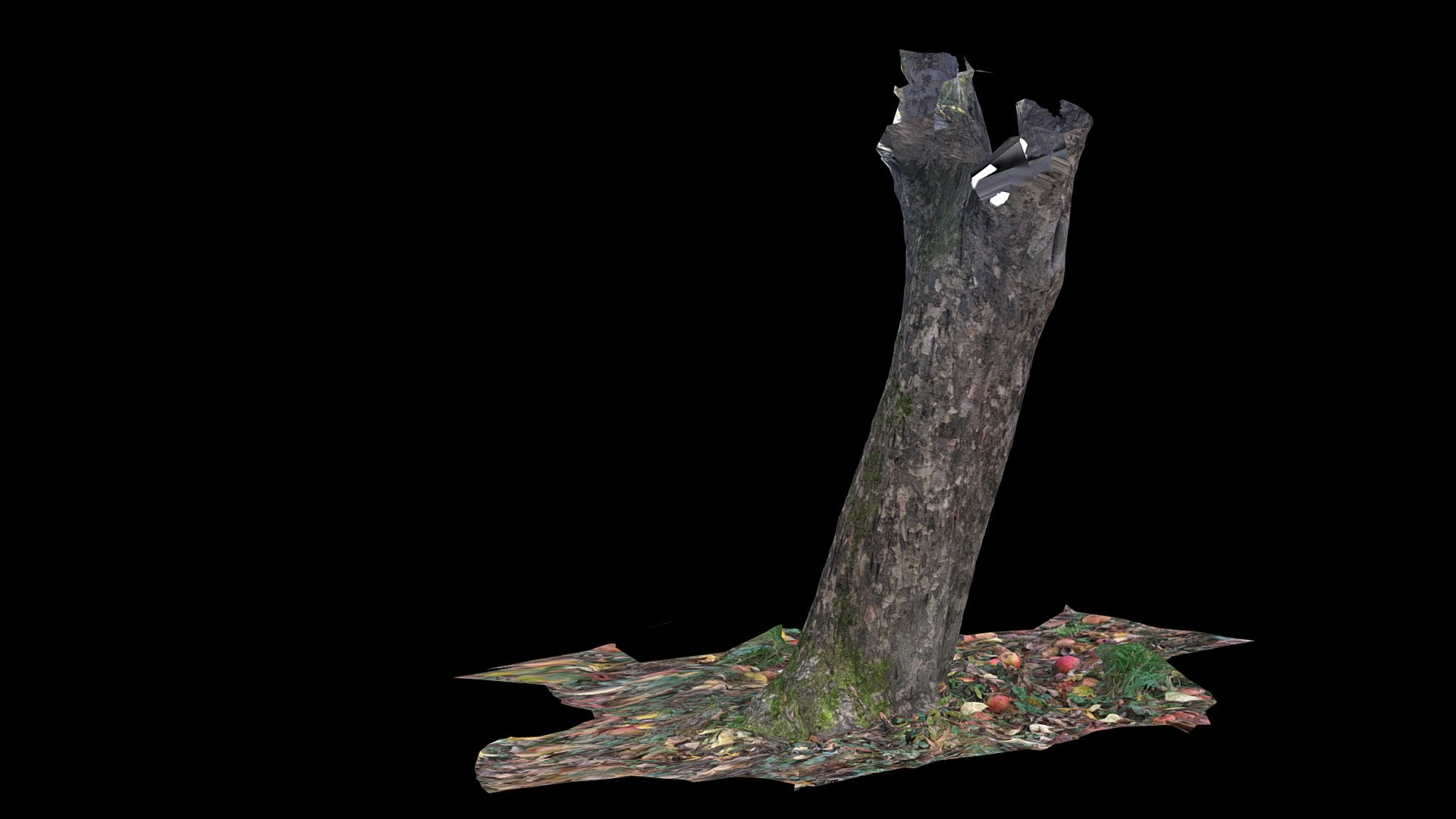 Apfelbaum1