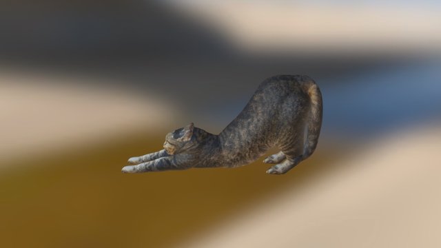 nobineko 3D Model
